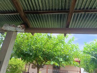 Κεντροφυγκα-thumb-3