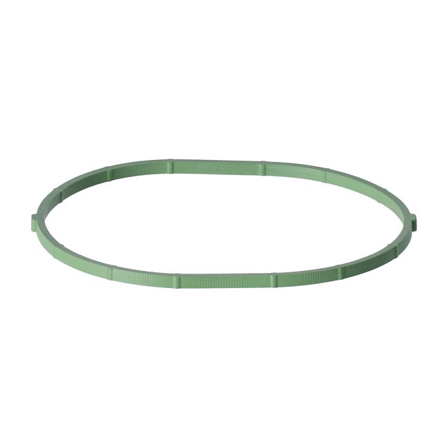 Athena intake gasket