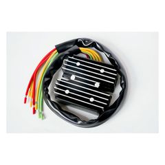 Rick''s universal Perm. Magnet Lithium Ion rec-regulator