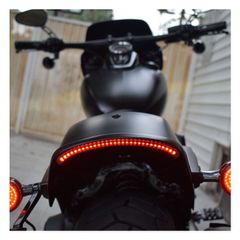 Custom Dynamics, FXFB Fat Bob LED center taillight. Red-thumb-1