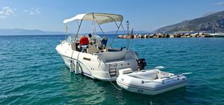 Quicksilver 2003 flamingo
