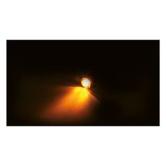 Proton module LED 3-1 turn signal combo ECE appr.-thumb-2
