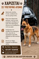 ΧΑΡΙΖΕΤΑΙ ΣΕ ΥΠΕΥΘΥΝΟ ΑΤΟΜΟ