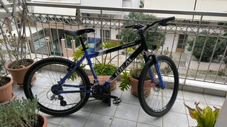 All - Mountain Ideal 2010 Pro rider