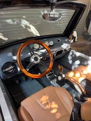 Buggy 2009-thumb-3