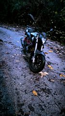 Benelli BN 125 2021