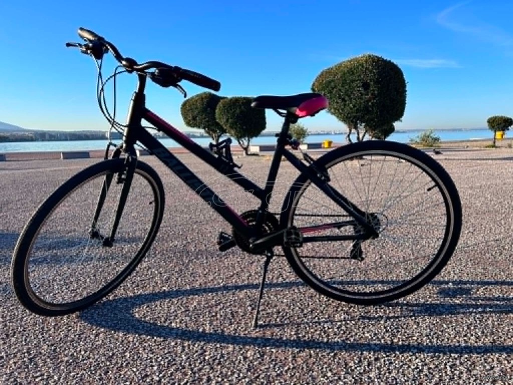 Trekking Ballistic 2024 District W 28″ 2024 Lady
