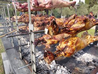 Ρυμούλκες / Τρέιλερ 2020
