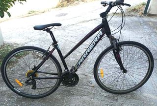 Πόλης Carrera 2023
