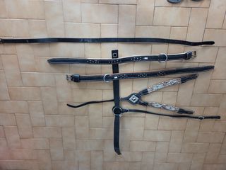 Σετ δερμάτινων αξερουάρ ιππασίας για άλογο