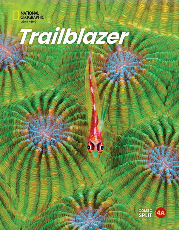 TRAILBLAZER 4 ( + SPARK) COMBO SPLIT A