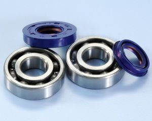 ΡΟΥΛΕΜΑΝ ΣΤΡΟΦΑΛΟΥ ΣΕΤ ΜΕ ΤΣΙΜΟΥΧΕΣ YAMAHA JOG 50 NEOS 50 AEROX 50 (6204 C3) POLINI