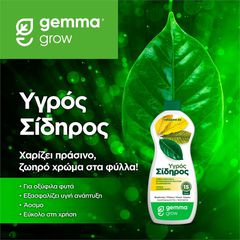 Υγρός Σίδηρος 300ml Gemma-thumb-1