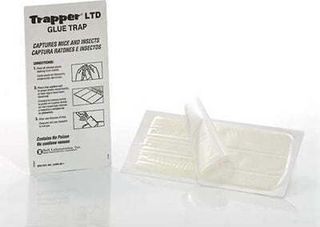 Trapper LTD παγίδα κόλλας Protecta-thumb-1