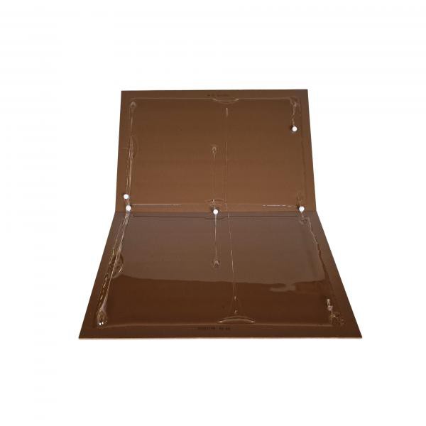 Ξύλινη παγίδα κόλλας αρουραίων Wooden Glue Board Rat (ζεύγος) Protecta