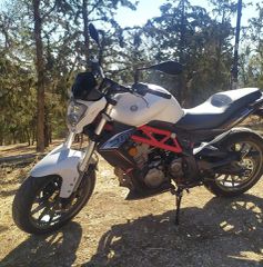 Benelli BN 302 2017