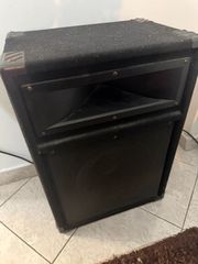 2 Επαγγελματικά ηχεία 12 ίντσες