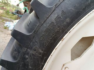 Λάστιχα Agrotis 2023 SET   ΣΤΕΝΑ  ΖΑΝΤΟΛΑΣΤΙΧΑ-thumb-6