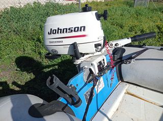 Johnson 2008