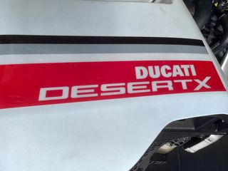 Ducati DesertX 2025 White-thumb-4