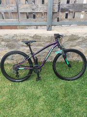 All - Mountain Orbea 2023 MX24 XC