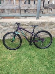 All - Mountain Orbea 2023 MX24 XC-thumb-4