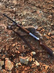 Beretta pindail