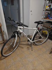 City Bicycle Ballistic 2021 Coaster 2.0