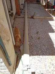 Τέντα βεράντας, κήπου-thumb-1