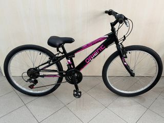All - Mountain Orient 2026 Snake 24" 21sp