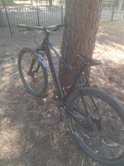 Cube Rrace 29' 2024 large