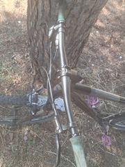 Cube Rrace 29' 2024 large-thumb-4