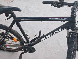 All - Mountain Ideal 2024 Zik-zak