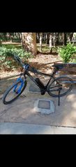 All - Mountain KTM 2024 CIGAGO