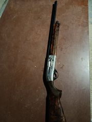 Beretta teknys 391