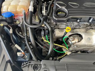 Ford Focus 2022-thumb-41
