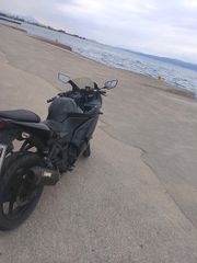Kawasaki Ninja 250 R 2009 EX250K