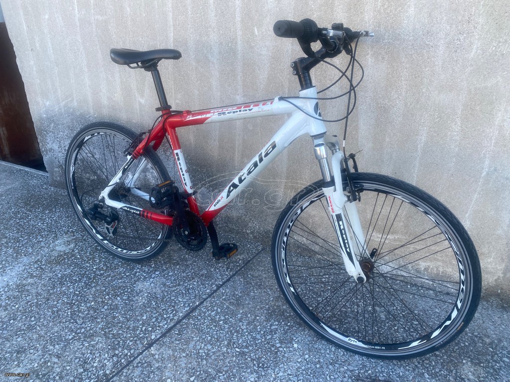 Fat Bikes Atala 2019 Gt