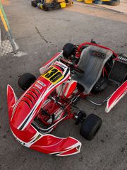 Cycle-Kart Birel ART 2025 DD2 rotax s18