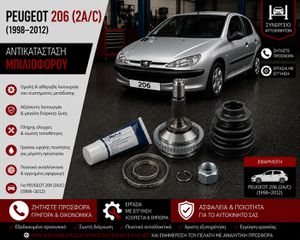 Peugeot 206 (2A/C) (1998-2012) - Αντικατάσταση Μπιλιοφόρου