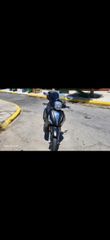 Piaggio Beverly 350 2019 Police