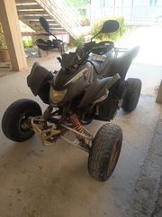 Aeon Cobra 350 2010