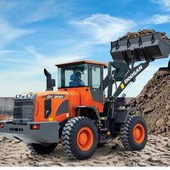 Φορτωτής Με Λάστιχα Doosan 2015 DL 300+ZYGISTIKO+HI DUMB KOYBA+ARISTO-thumb-1