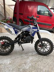 Kxd 2024