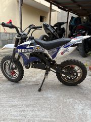 Kxd 2024-thumb-1