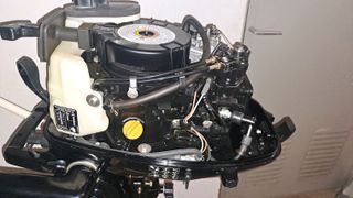 Mercury 2012 F6M