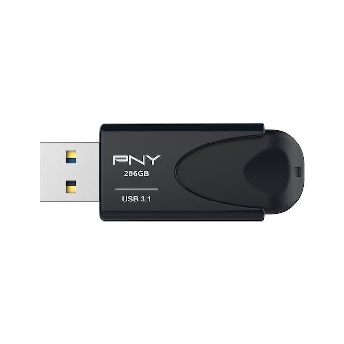 PNY FD256ATT431KK-EF