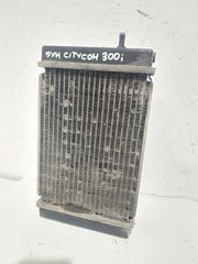 Ψυγείο νερού από SYM CITYCOM 300i