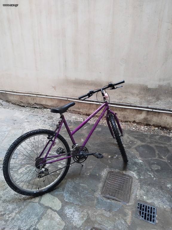 Πόλης 2015