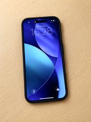iPhone 16 Pro Max 256 GB